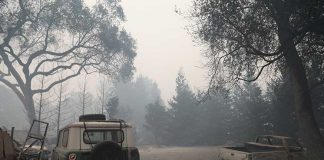 Организация готовит женщин к лидерству в чрезвычайных ситуациях Camp fire, California