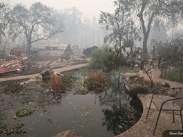 Camp fire, Paradise, California