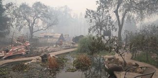 Camp fire, Paradise, California