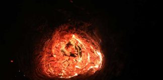 Трамп предложил Путину помощь в тушении пожаров в Сибири Fire