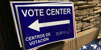 Власти Джорджии распорядились пересчитать голоса, поданные за Трампа и Байдена Elections