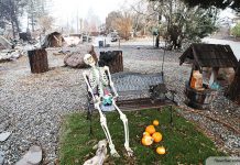 Radiation Measurements Taken in Burned City of Paradise