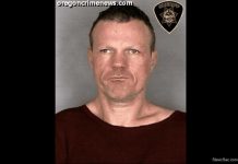 Арестован пешеход, создававший помехи движению на магистрали I-5