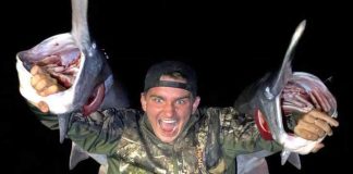 Кто такой Дмитрий Андрейченко? Дмитрий Андрейченко