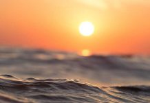 В Калифорнии установилась экстремальная жара Sun
