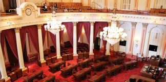 Чего нам ждать от новых калифорнийских законов, вступающих в силу в 2024 году? California Senate floor