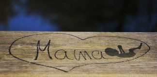 Трамп урезал финансирование здравоохранения Калифорнии на $200 млн из-за абортов