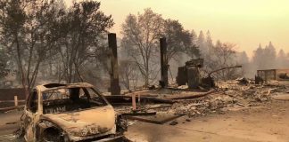 Пожар в Парадайз: прошедшие через огонь