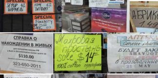 Русский язык в мультилингвальной Калифорнии русская Калифорния