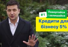 Зеленский зовет украинскую диаспору домой Владимир Зеленский