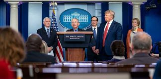 Фаучи: от коронавируса могут умереть 100 тысяч американцев