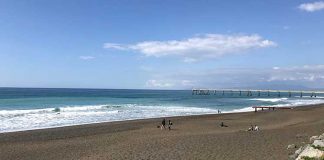 Губернатор Калифорнии ограничивает въезд в парки штата