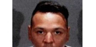 Дэвид Дельгадо