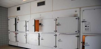 В США общее число жертв COVID-19 превысило 50 тысяч человек