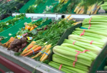 grocery-food-store