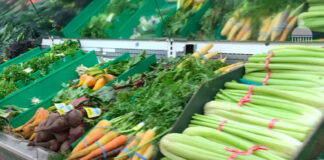 grocery-food-store