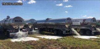 В Калифорнии пропадает урожай, в Техасе – фермерам некуда девать молоко