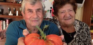 В Чикаго от коронавируса скончалась пожилая украинская пара