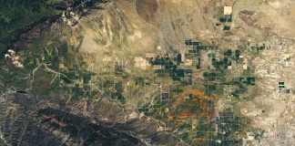 Цветущие калифорнийские маки видны на снимках из космоса