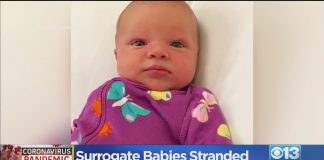 Американцы не могут забрать своих суррогатных детей из Украины