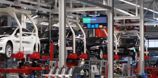 Трамп вступился за Илона Маска, игнорирующего распоряжения властей Калифорнии по карантину