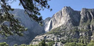 Национальный парк Йосемити откроется для посещения с 11 июня Yosemite National Park