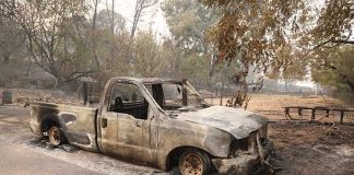 Губернатор Калифорнии обратился за помощью к Австралии и Канаде в борьбе с лесными пожарами Fire in California