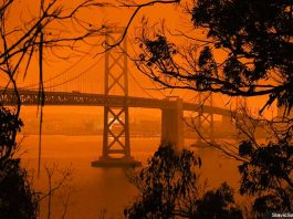 SF Bay Bridge