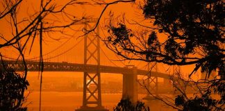 Трамп посетит Калифорнию, охваченную лесными пожарами SF Bay Bridge