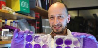 Главный санитарный врач США предупредил о «трудных неделях» борьбы с «омикроном» COVID