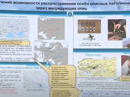 Биолаборатории в Украине