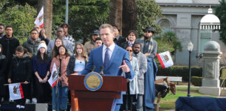 gavin-newsom