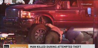 catalytic converter theft