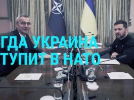 Ukraine and Nato