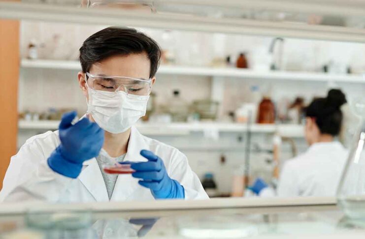 Farmacist
