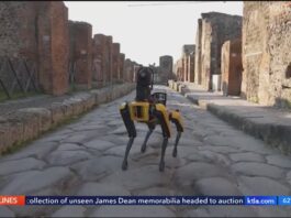 Boston Dynamics