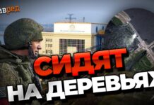 CNN: в Украине активизировались боевые действия, что может свидетельствовать о контрнаступлении ВСУ Каховская ГЭС