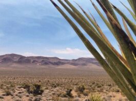 Death Valley National Park