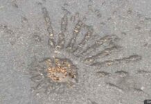 США ввели новые санкции против более чем 150 лиц и структур в связи с вторжением РФ в Украину Cluster bomb, Ukraine