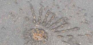 «Нельзя говорить одновременно “Я хочу мира” и “я отказываюсь идти на компромисс”» Cluster bomb, Ukraine