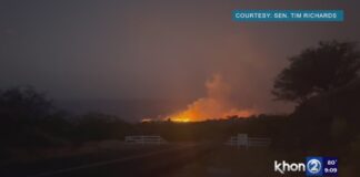 Hawaii Fire