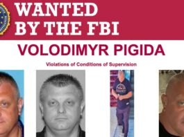 Pigida