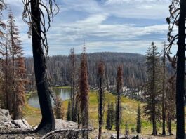 Lassen Volcanic National Park