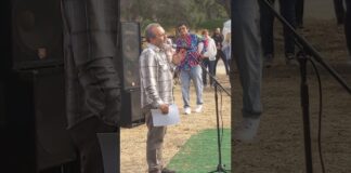 Шендерович