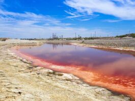 Salton Sea