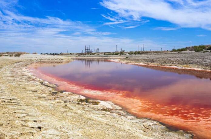 Salton Sea