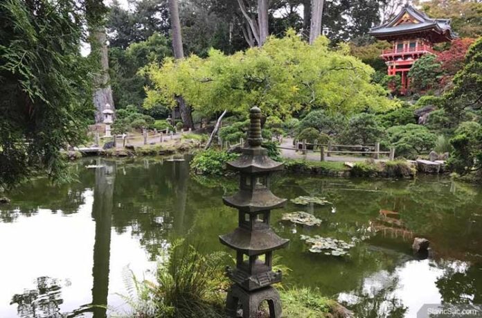 Japanese Tea Garden