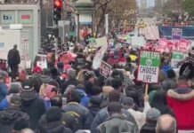 Walk For Life, San Francisco
