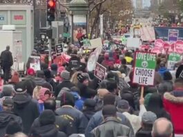 Walk For Life, San Francisco