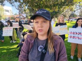 Navalny Protest, Glendale, Ca